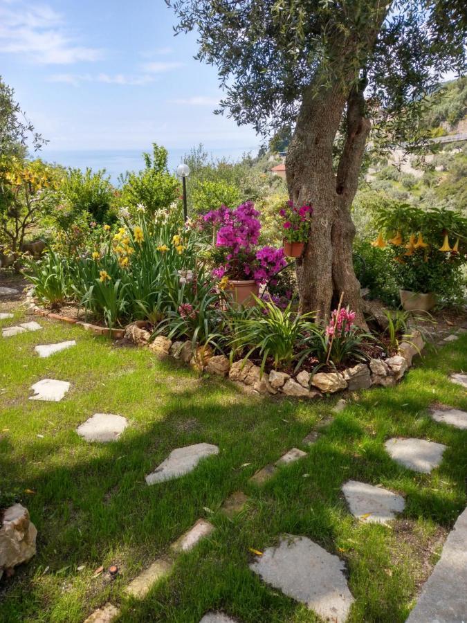 Villino Brunetto Azienda Agrituristica Camogli Exterior photo