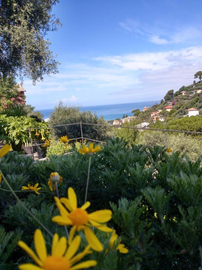 Villino Brunetto Azienda Agrituristica Camogli Exterior photo